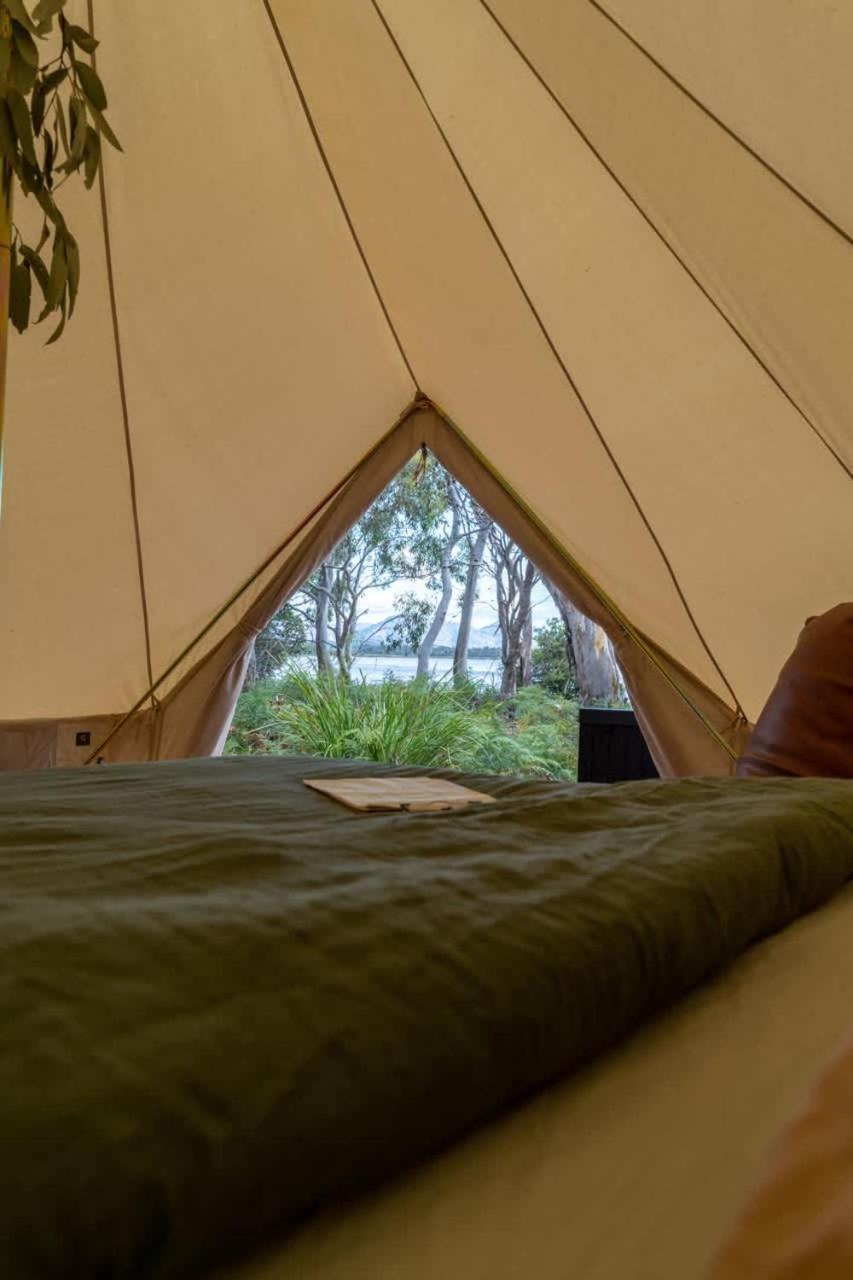 Numie - Freycinet Peninsula - Glamping - Heated - Waterfront Ξενοδοχείο Coles Bay Εξωτερικό φωτογραφία