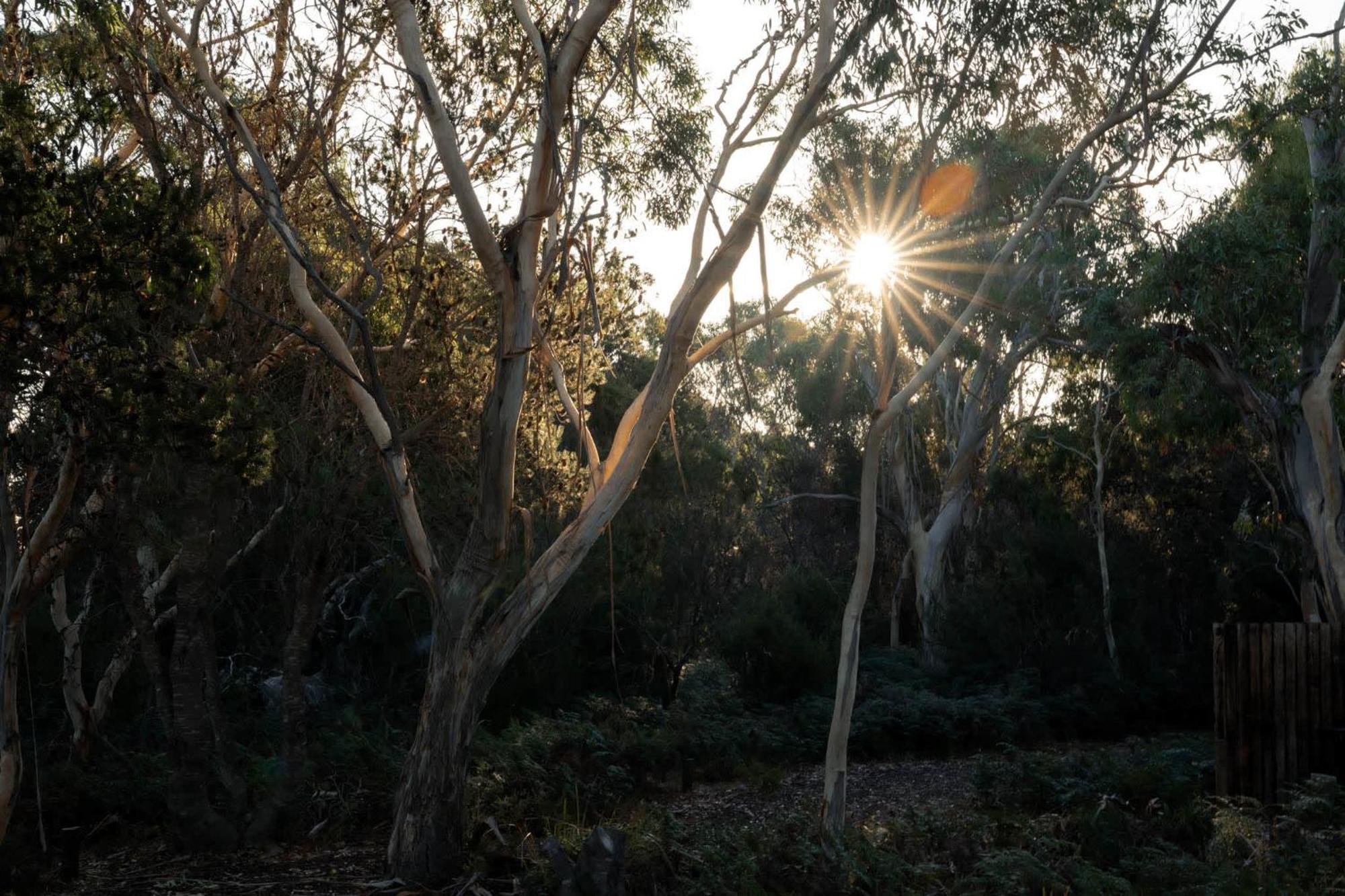 Numie - Freycinet Peninsula - Glamping - Heated - Waterfront Ξενοδοχείο Coles Bay Εξωτερικό φωτογραφία
