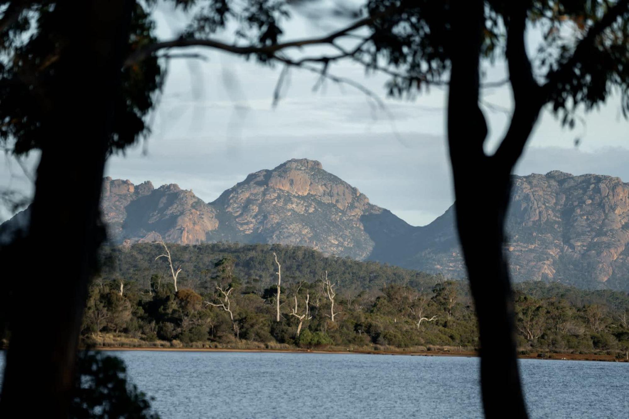 Numie - Freycinet Peninsula - Glamping - Heated - Waterfront Ξενοδοχείο Coles Bay Εξωτερικό φωτογραφία