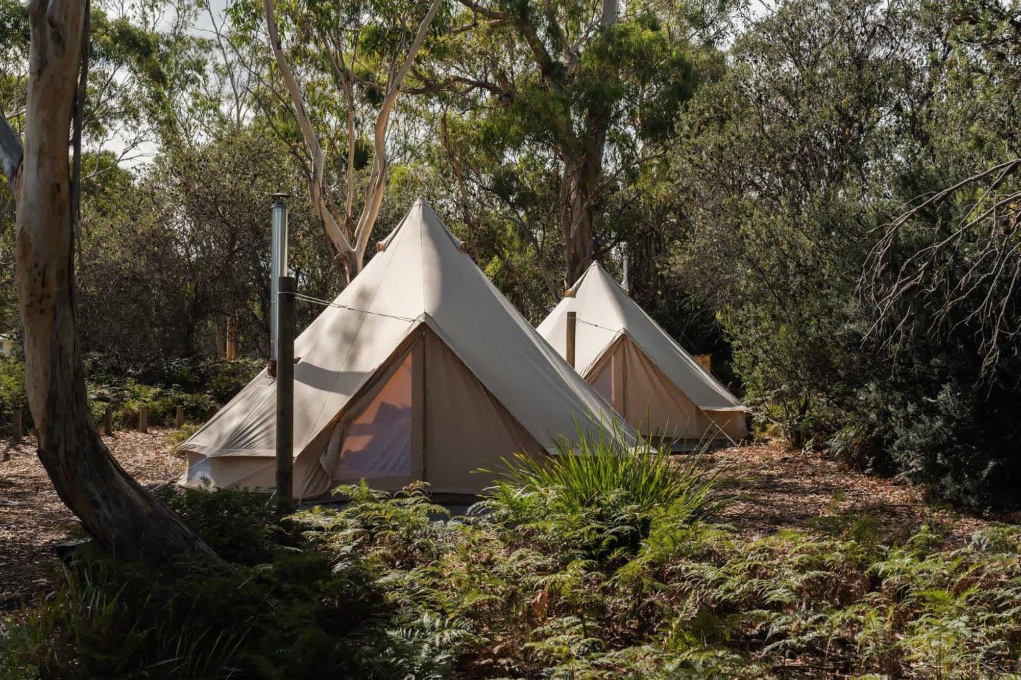 Numie - Freycinet Peninsula - Glamping - Heated - Waterfront Ξενοδοχείο Coles Bay Εξωτερικό φωτογραφία