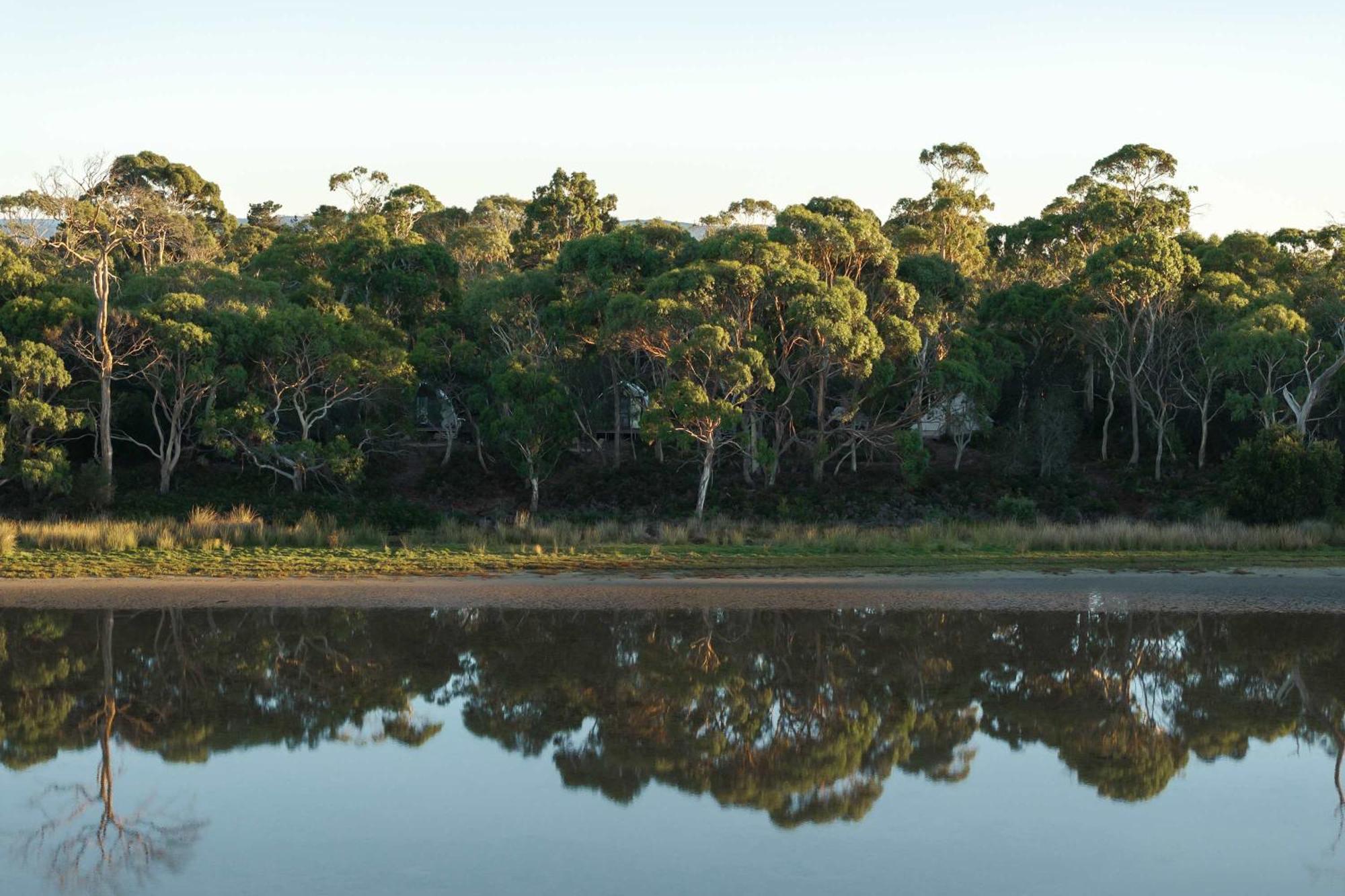 Numie - Freycinet Peninsula - Glamping - Heated - Waterfront Ξενοδοχείο Coles Bay Εξωτερικό φωτογραφία