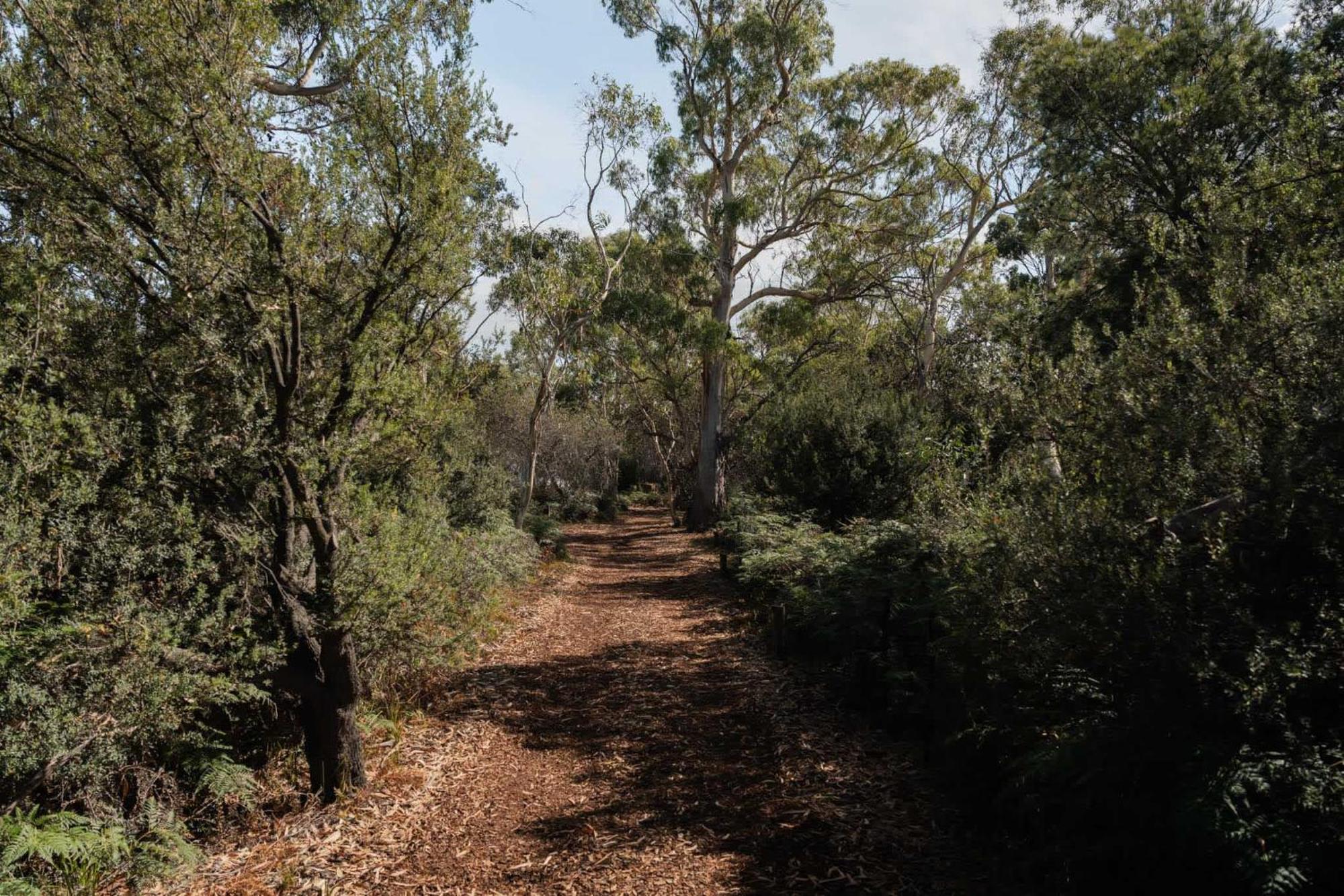 Numie - Freycinet Peninsula - Glamping - Heated - Waterfront Ξενοδοχείο Coles Bay Εξωτερικό φωτογραφία