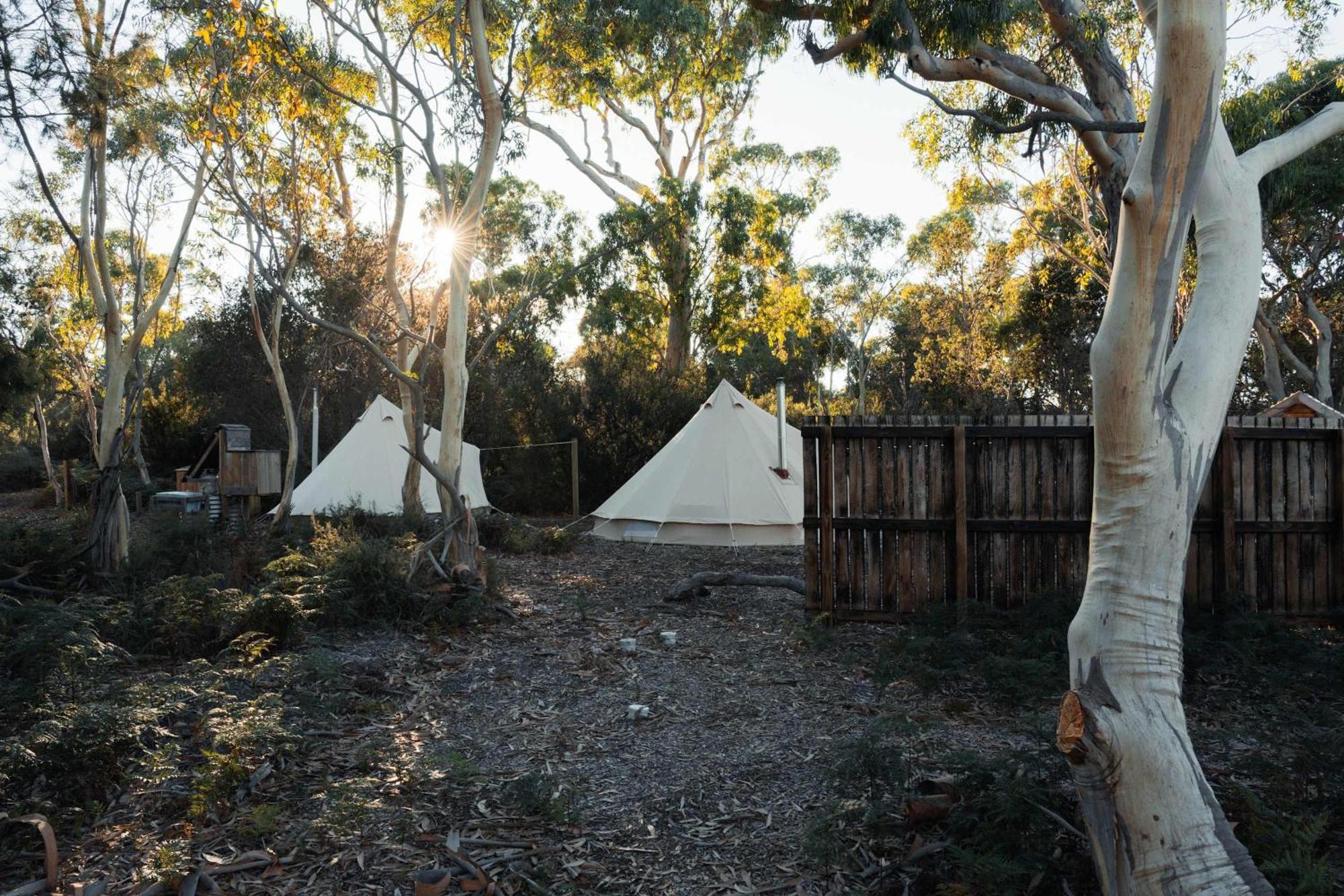 Numie - Freycinet Peninsula - Glamping - Heated - Waterfront Ξενοδοχείο Coles Bay Εξωτερικό φωτογραφία