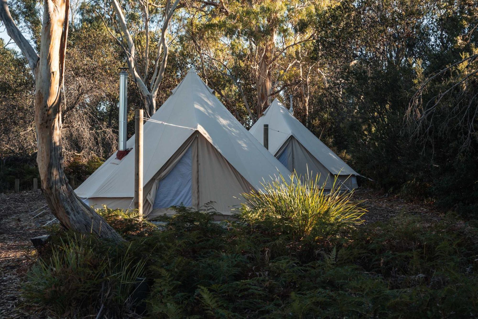 Numie - Freycinet Peninsula - Glamping - Heated - Waterfront Ξενοδοχείο Coles Bay Εξωτερικό φωτογραφία