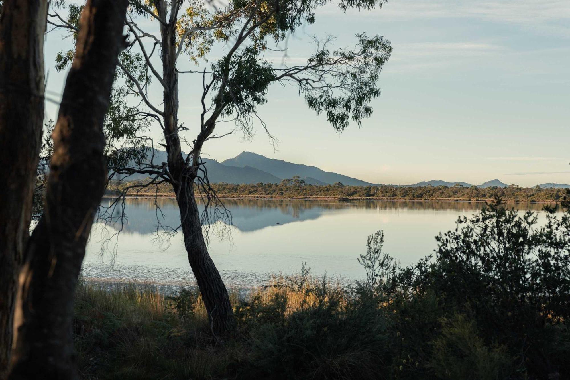 Numie - Freycinet Peninsula - Glamping - Heated - Waterfront Ξενοδοχείο Coles Bay Εξωτερικό φωτογραφία