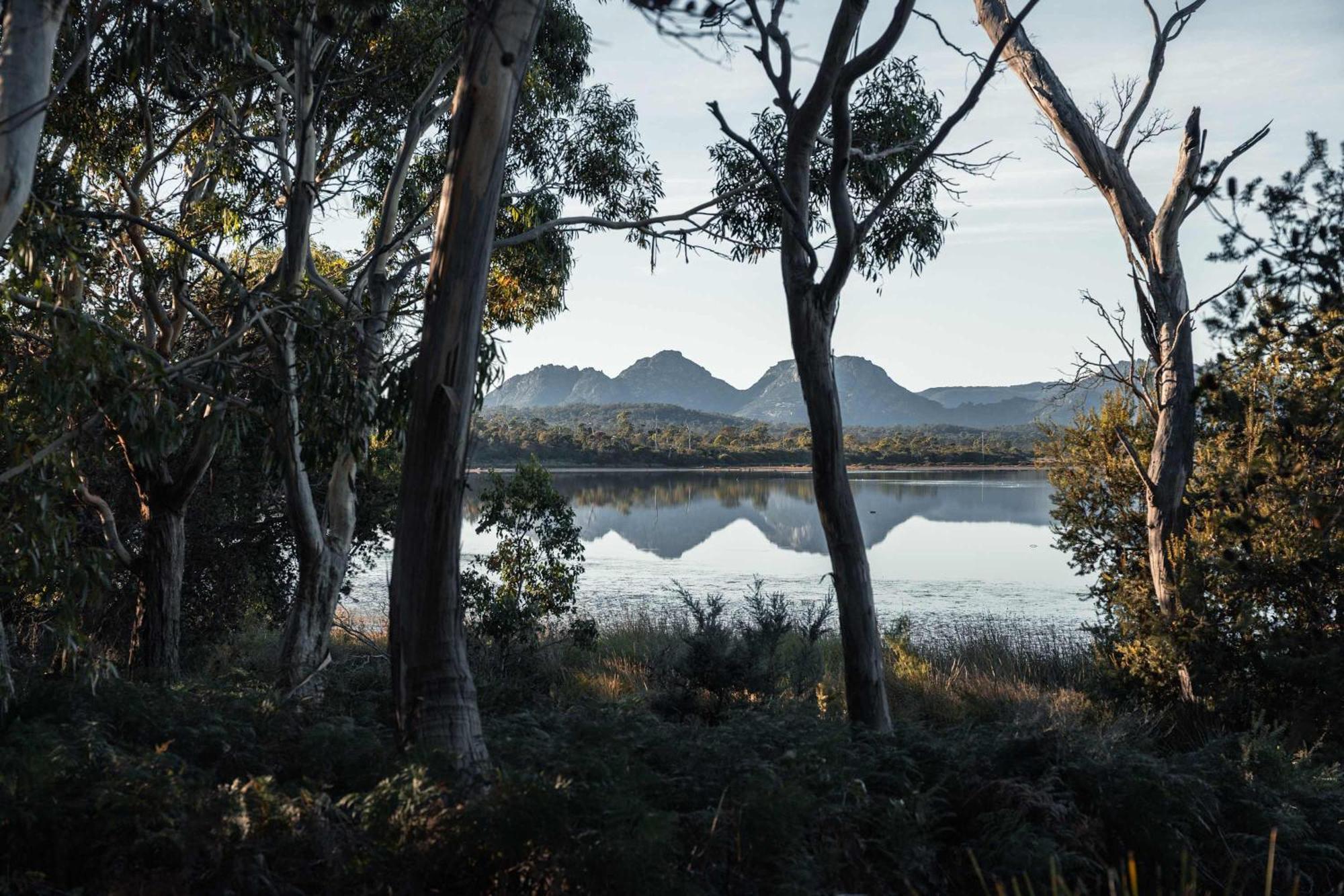 Numie - Freycinet Peninsula - Glamping - Heated - Waterfront Ξενοδοχείο Coles Bay Εξωτερικό φωτογραφία