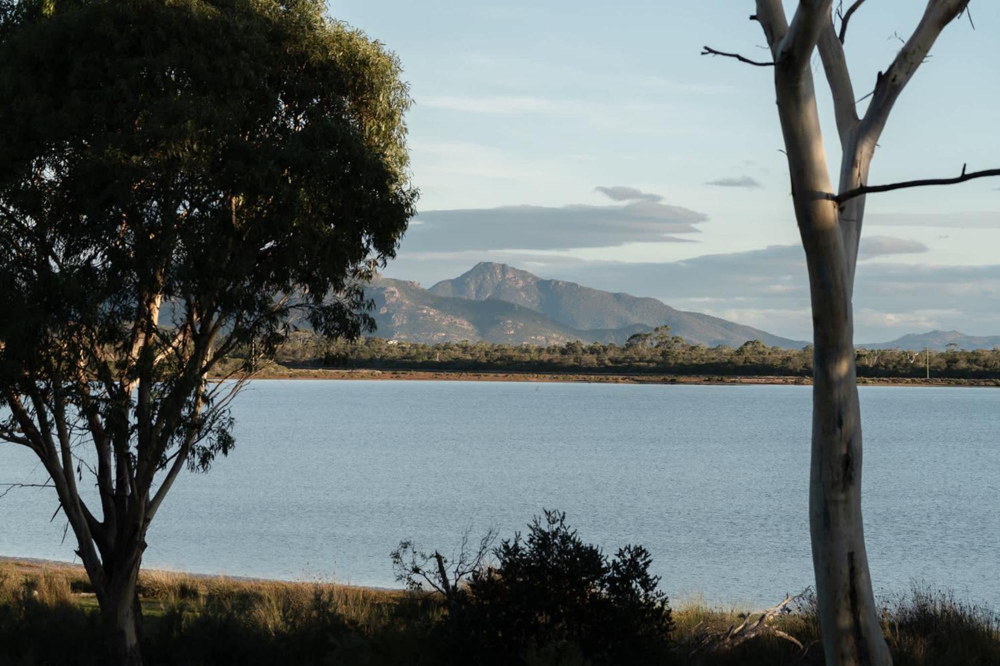 Numie - Freycinet Peninsula - Glamping - Heated - Waterfront Ξενοδοχείο Coles Bay Εξωτερικό φωτογραφία