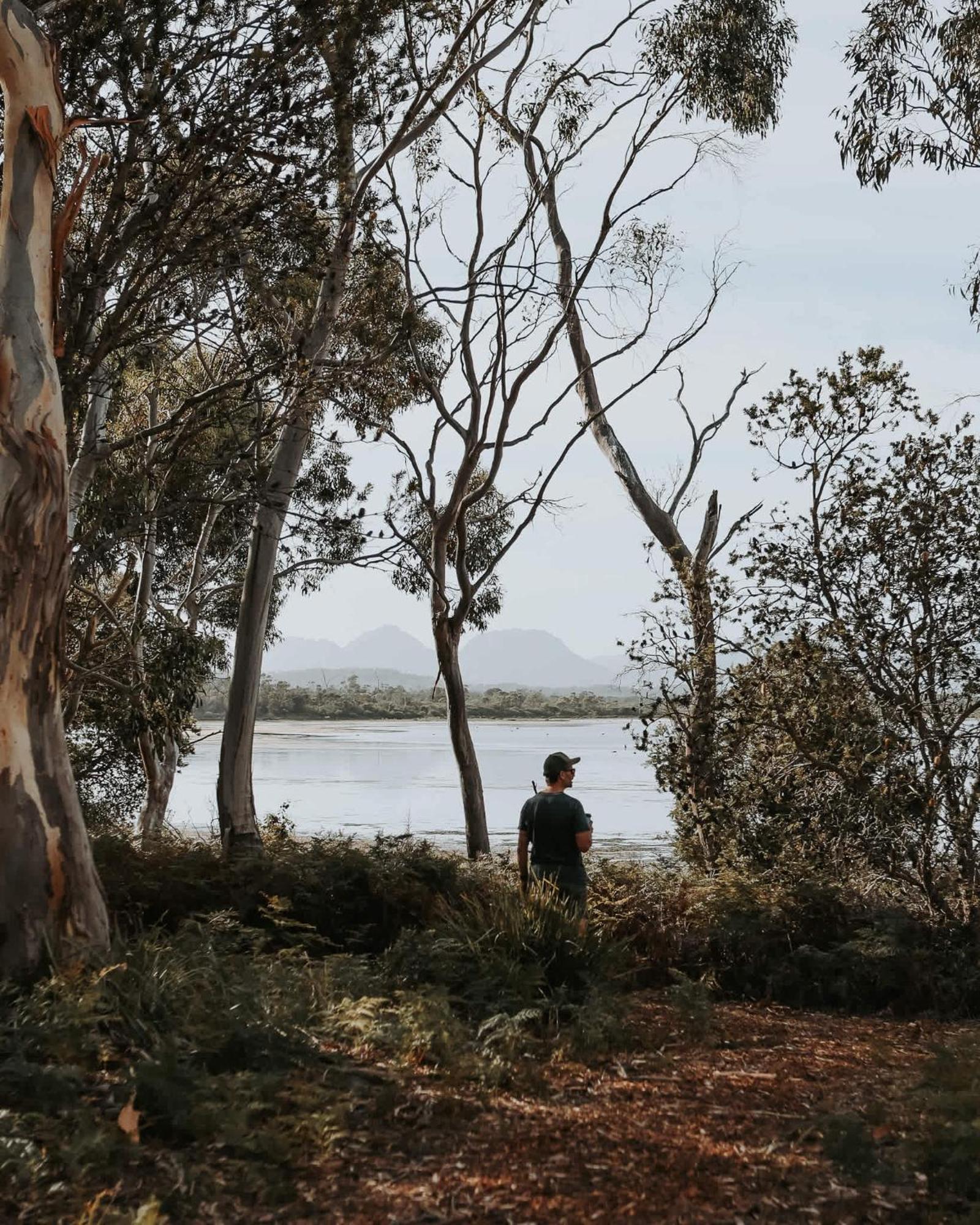 Numie - Freycinet Peninsula - Glamping - Heated - Waterfront Ξενοδοχείο Coles Bay Εξωτερικό φωτογραφία